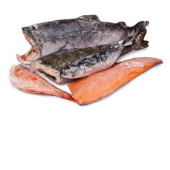 Рыба морская