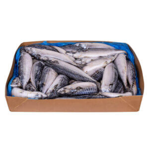 Скумбрия целая с/м 400-600 20кг - фото 2