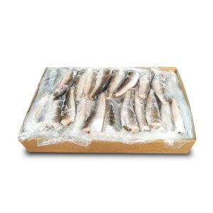 Хек тушка 100-200 АРІ с/м 15кг - фото 2