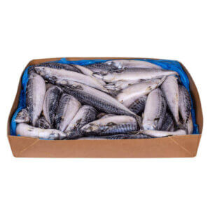 Скумбрия целая с/м 400-600 18кг - фото 2